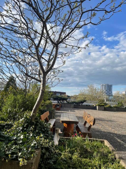 Apartments Strauss Near Bs-Hauptbahnhof 브라운슈바이크 외부 사진